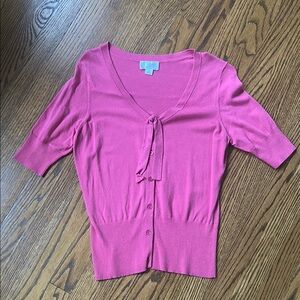 Ann Taylor Loft Pink Knit Top🌿